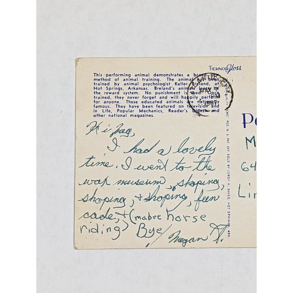 Advertising Postcard Hot Springs Arkansas AR‎ Zoo The Drumming Duck 1960s Paper - Picture 6 of 7